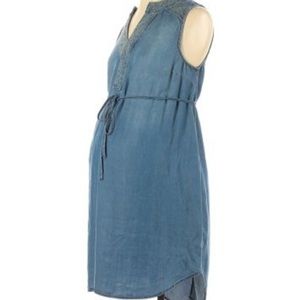 Liz Lange Maternity Jean Dress